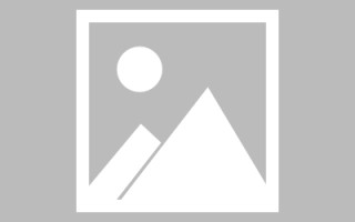 永新编制网站建设（编制网站建设包括哪些）